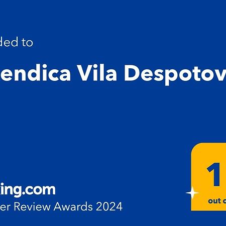 Vikendica Vila Despotovic โคเปานิก ภายนอก รูปภาพ