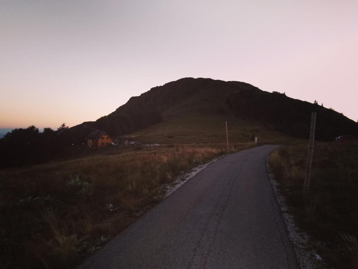Vikendica Vila Despotovic โคเปานิก ภายนอก รูปภาพ