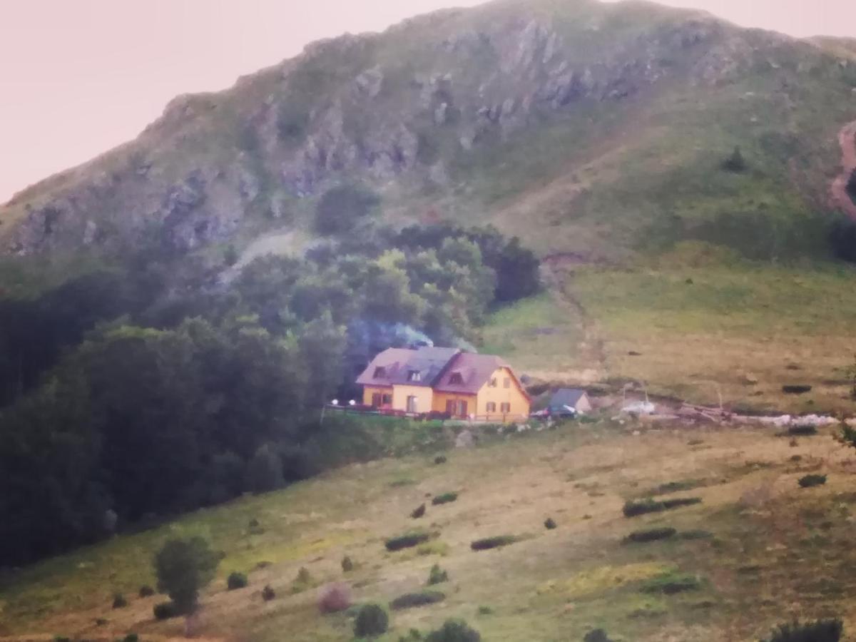 Vikendica Vila Despotovic โคเปานิก ภายนอก รูปภาพ