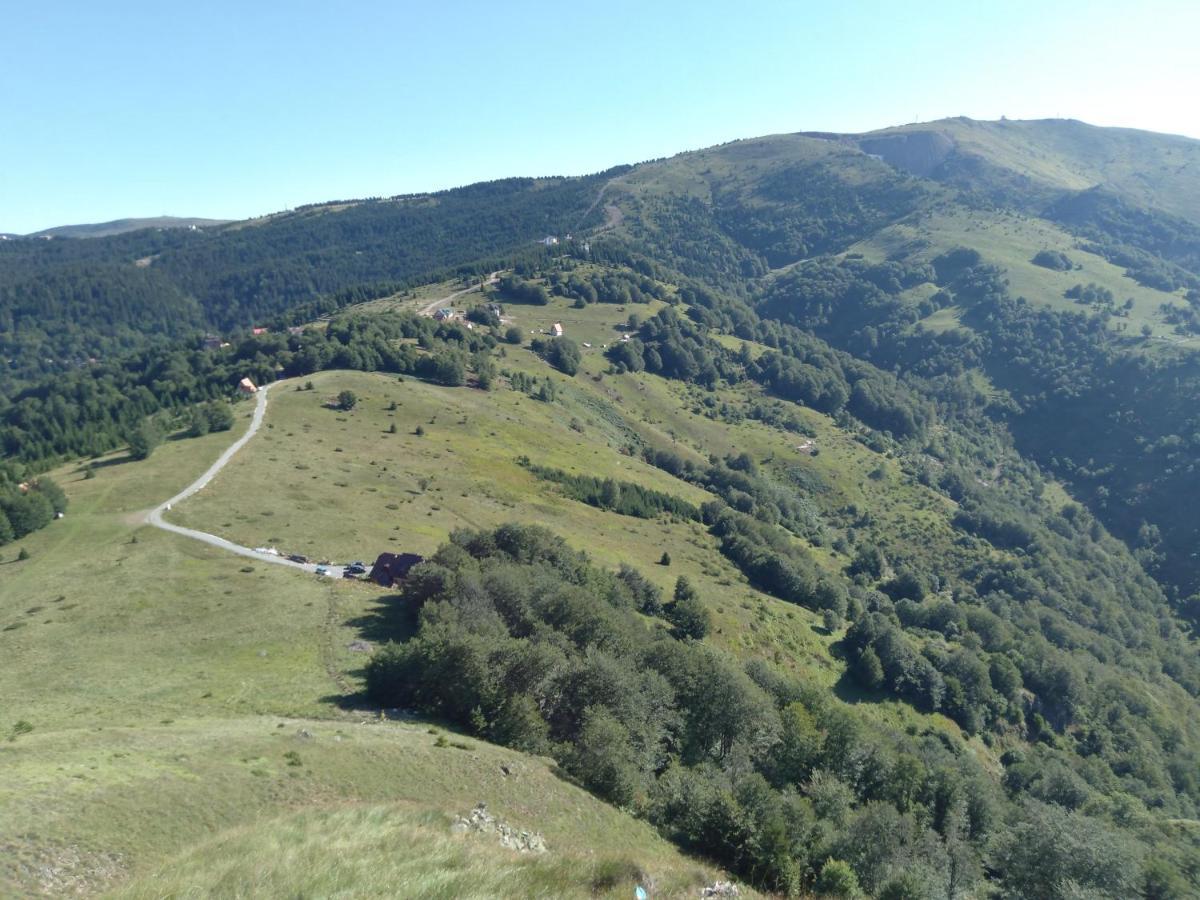Vikendica Vila Despotovic โคเปานิก ภายนอก รูปภาพ
