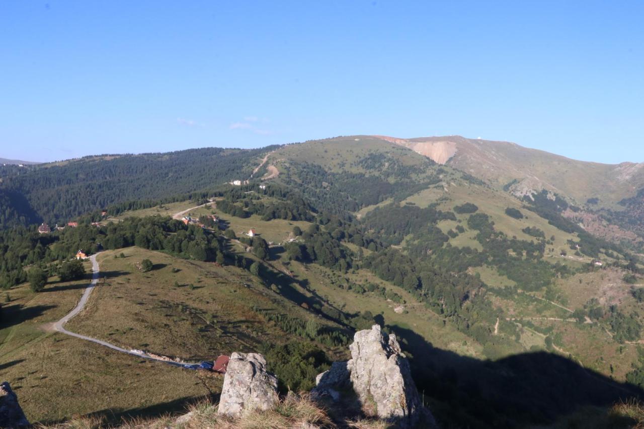 Vikendica Vila Despotovic โคเปานิก ภายนอก รูปภาพ
