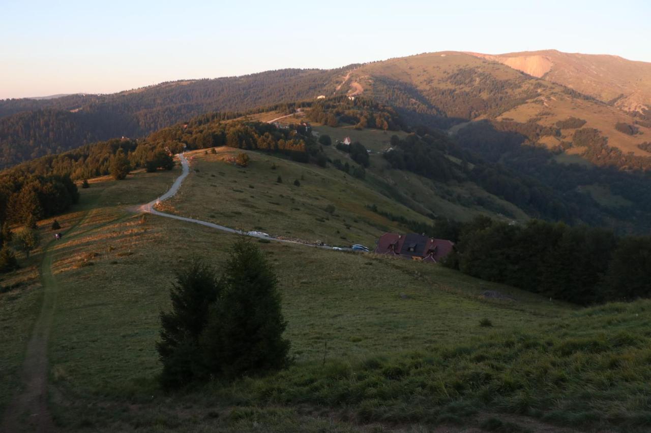 Vikendica Vila Despotovic โคเปานิก ภายนอก รูปภาพ