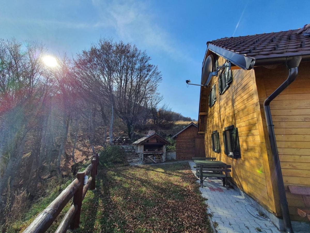 Vikendica Vila Despotovic โคเปานิก ภายนอก รูปภาพ