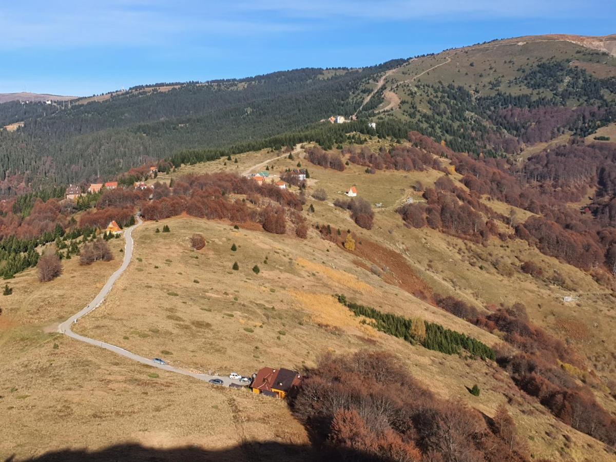 Vikendica Vila Despotovic โคเปานิก ภายนอก รูปภาพ