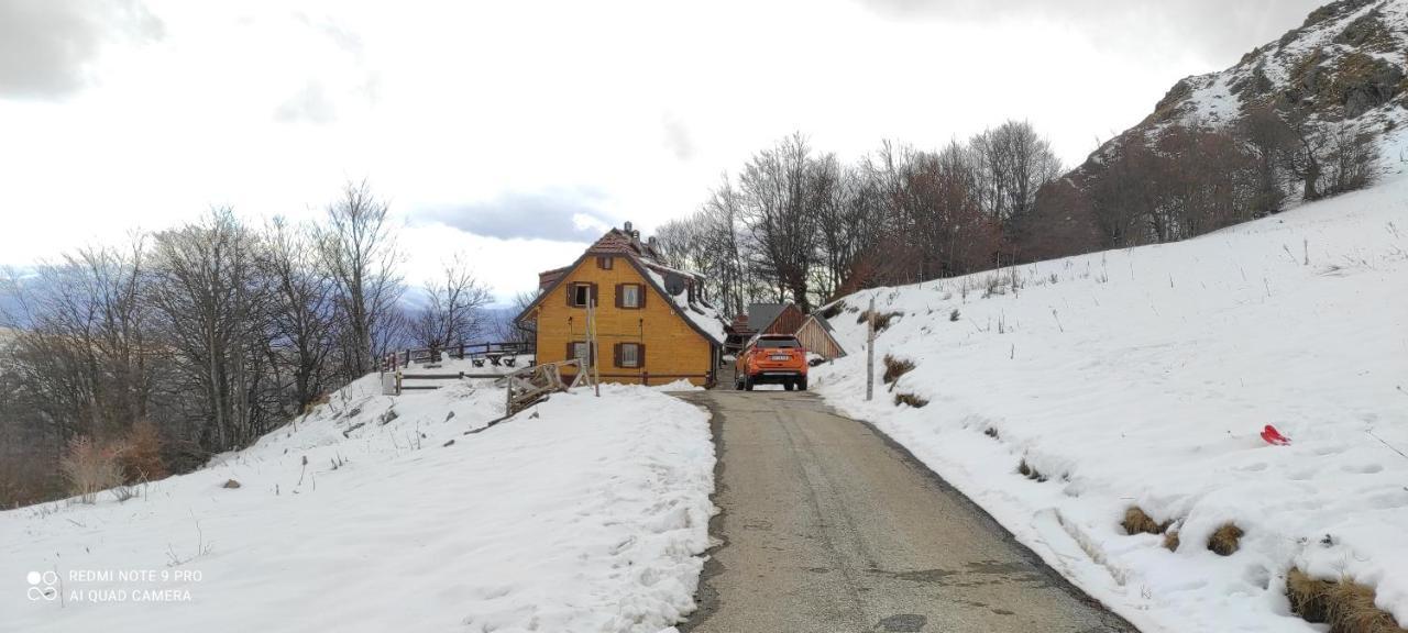 Vikendica Vila Despotovic โคเปานิก ภายนอก รูปภาพ