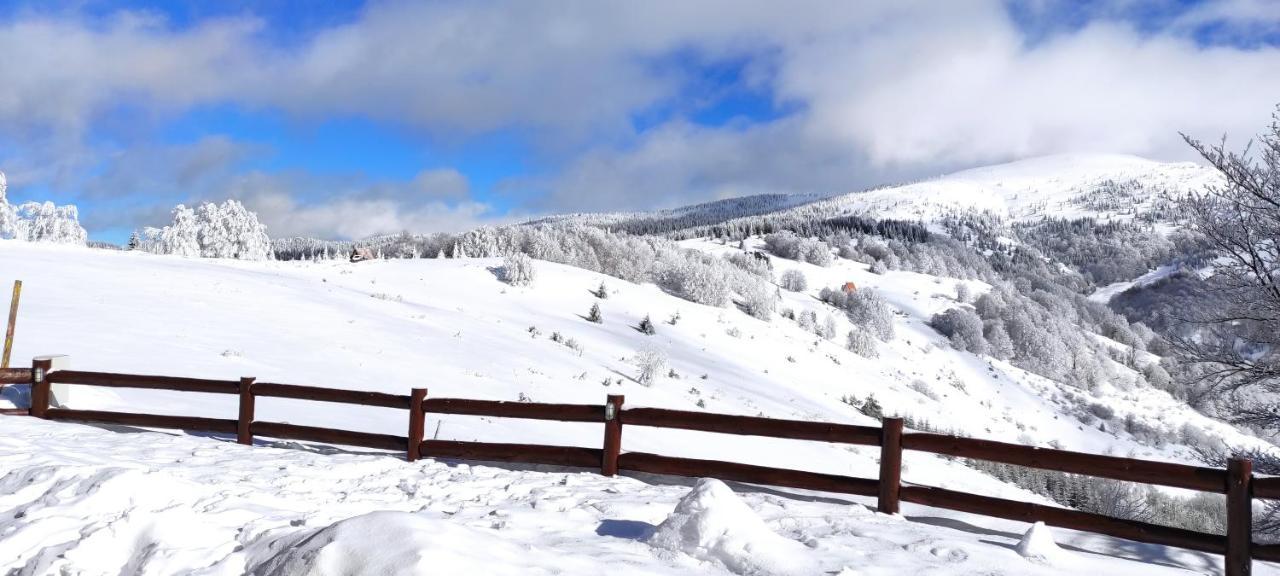 Vikendica Vila Despotovic โคเปานิก ภายนอก รูปภาพ