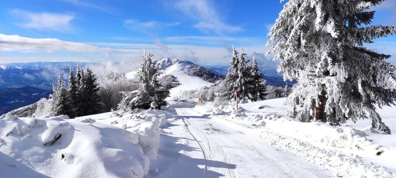 Vikendica Vila Despotovic โคเปานิก ภายนอก รูปภาพ