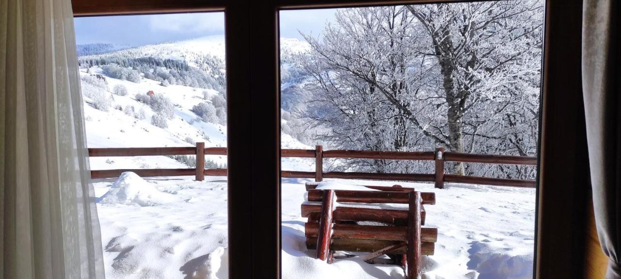 Vikendica Vila Despotovic โคเปานิก ภายนอก รูปภาพ