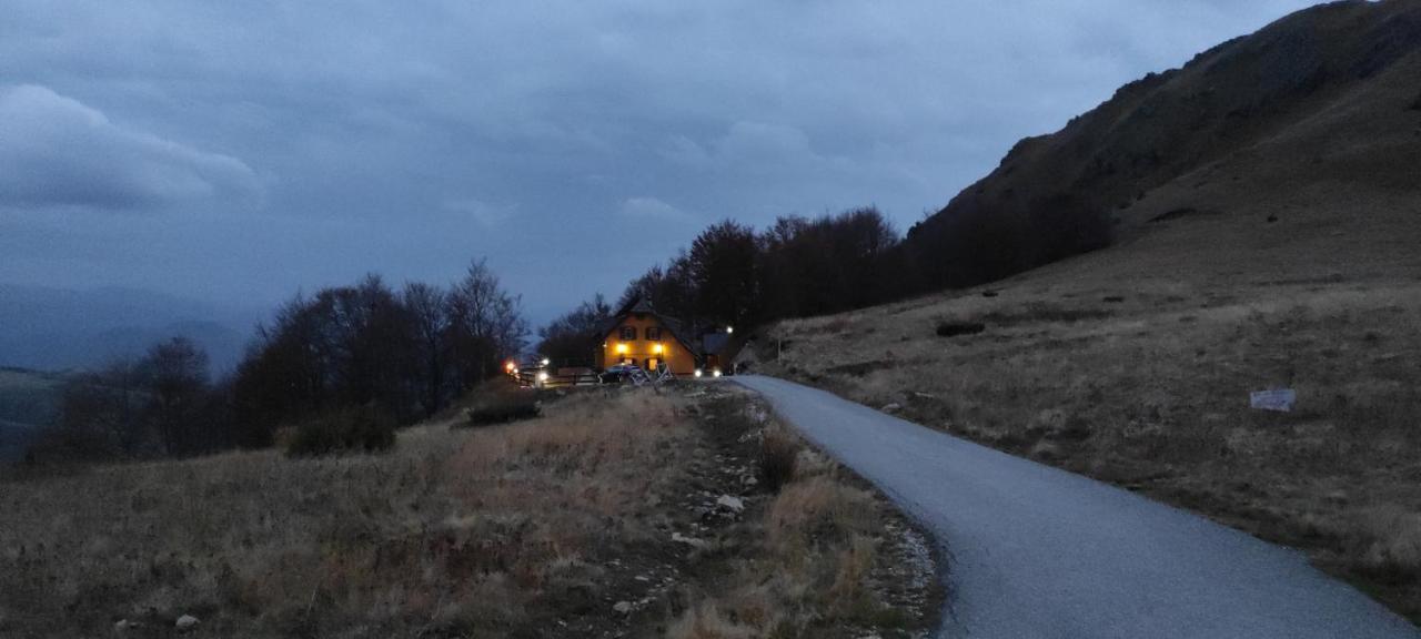 Vikendica Vila Despotovic โคเปานิก ภายนอก รูปภาพ