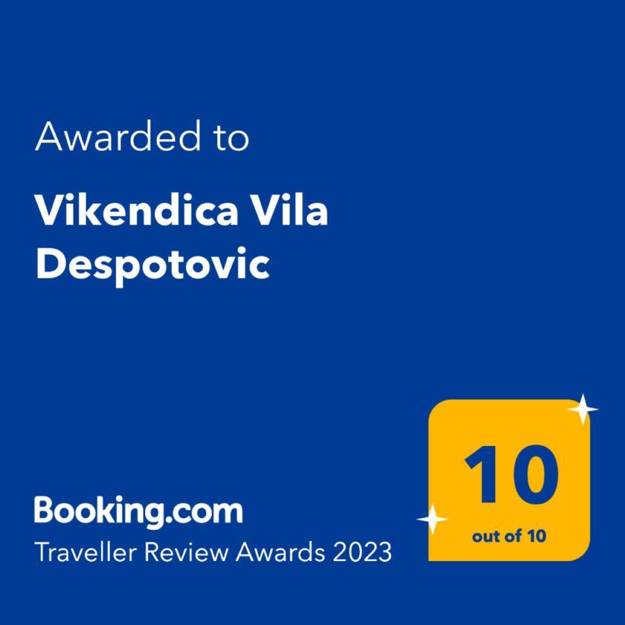 Vikendica Vila Despotovic โคเปานิก ภายนอก รูปภาพ