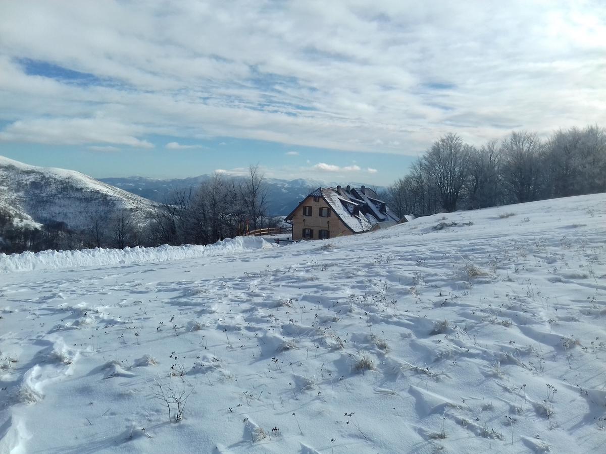 Vikendica Vila Despotovic โคเปานิก ภายนอก รูปภาพ