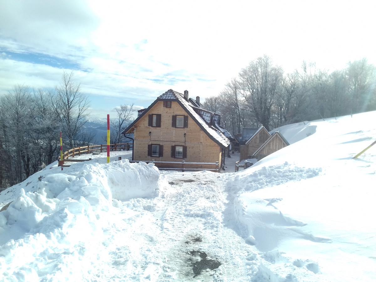 Vikendica Vila Despotovic โคเปานิก ภายนอก รูปภาพ