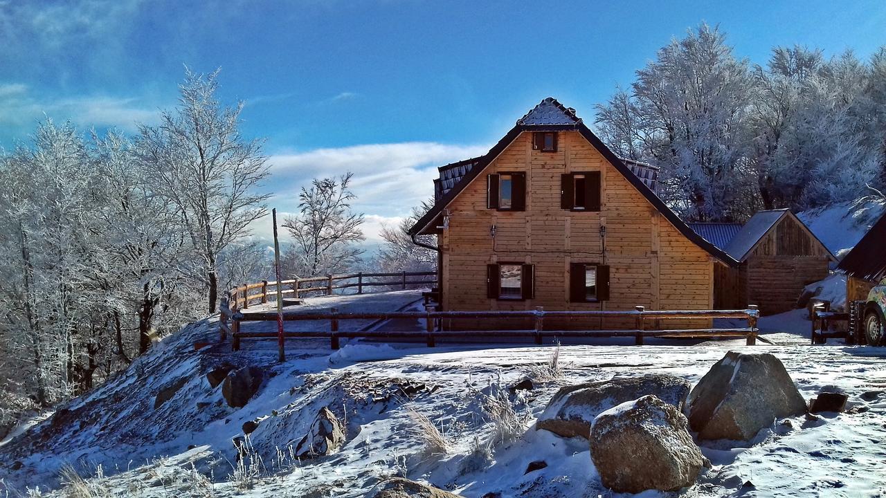 Vikendica Vila Despotovic โคเปานิก ภายนอก รูปภาพ