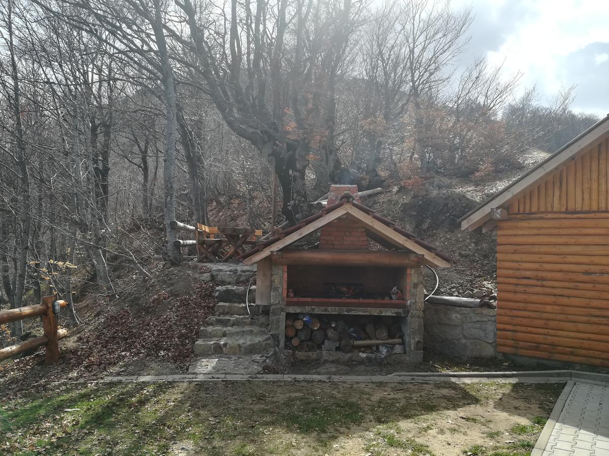 Vikendica Vila Despotovic โคเปานิก ภายนอก รูปภาพ