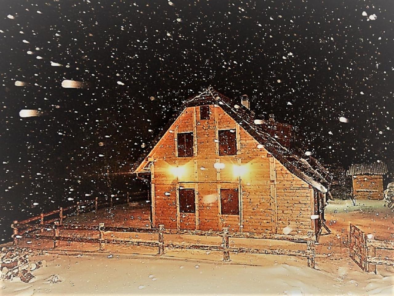 Vikendica Vila Despotovic โคเปานิก ภายนอก รูปภาพ